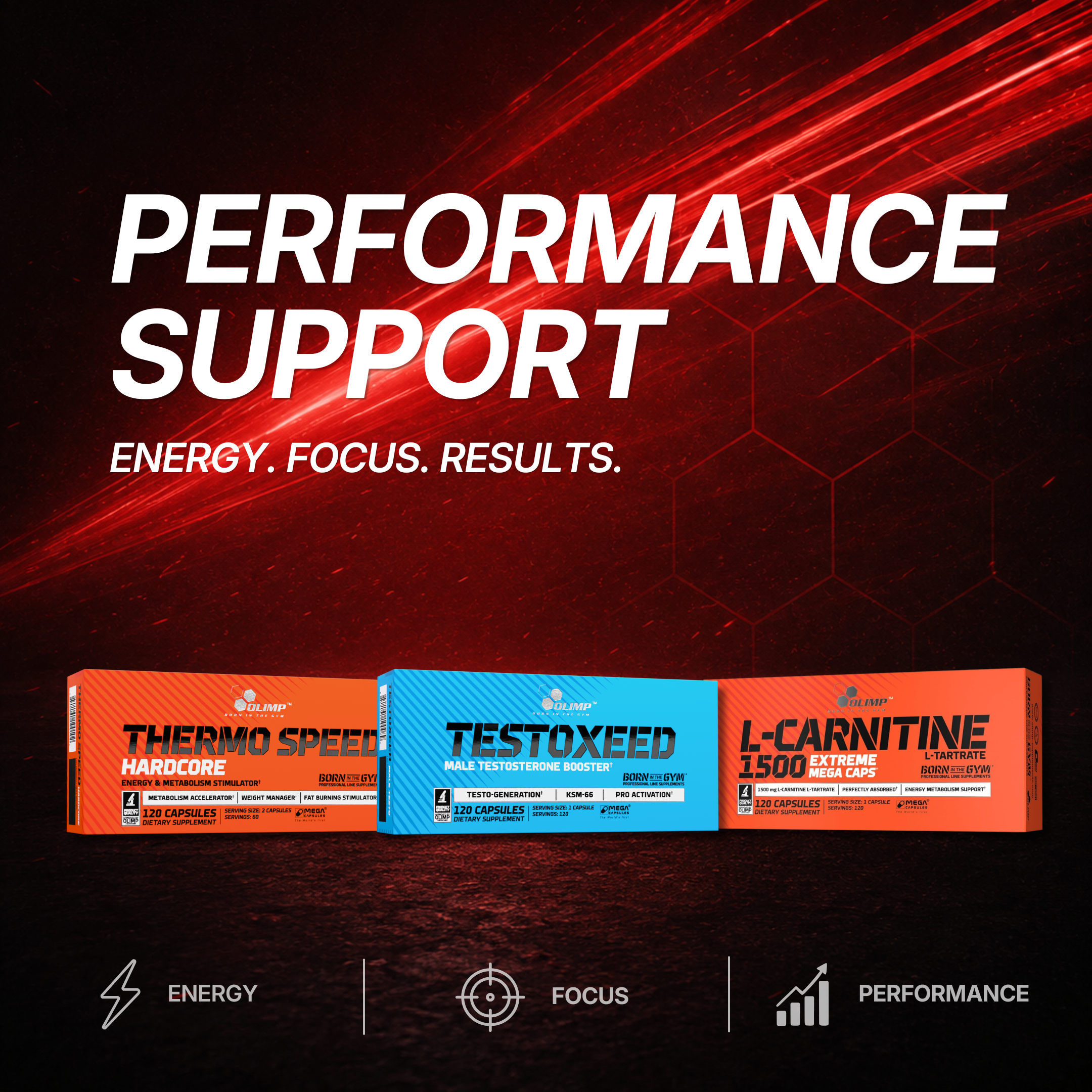 Performance Support